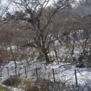 도두 관광호텔 이미지