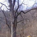 동상면민운동장 이미지