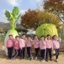 회동초등학교 이미지