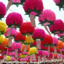 선근이네 이미지