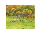 달담디자인스튜디오