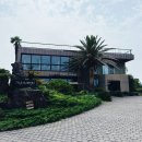 카페코지 - 양천구 남부순환로83길 17 | [제주 서귀포 카페] 쇠소깍 근처 힐링하기 좋은 오션뷰 카페 ‘게우지코지’ 방문 후기