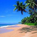 (주)부산골프여행사 이미지