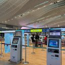 1카 | [이시가키 렌터카] 이시가키 진에어 + 렌터카 현실 후기 (타임즈 1시간 대기, 아이동반 비추)