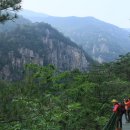 늘푸른계곡 이미지