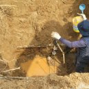 신월동035 이미지