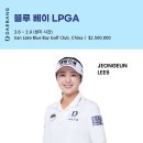 블루베이 이미지