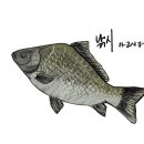 바위골낚시터 이미지