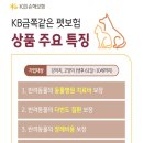 금쪽같은내새끼 동물병원 이미지