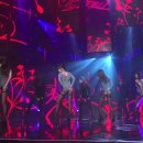 스텔라(Stella) 이미지