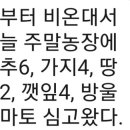 견우농장 네이버블로그