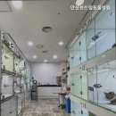 안산 센트럴 동물병원 | 안산동물병원 안산센트럴동물병원 24시간 진료 가능