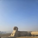 이집션 뮤지엄, 신종 사기, 주의해야할 점, 낙타 타기, el dar darak, 피라미드 점심, 이집트 배달 어플