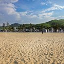 망상오토캠핑리조트 이미지