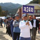 김천서부초등학교 이미지