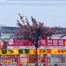 본가뼈다귀전문점
