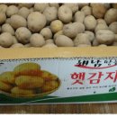 일번상회
