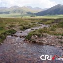 풀밭나라 이미지