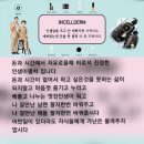 내이름은인셀덤
