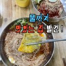 미가밀면 | 포항밀면맛집 찾았어요! 장성동밥집 미가밀면 물부터 다른 이유 (비빔·물밀면 후기)