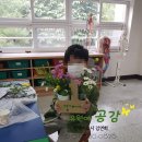 대구선원초등학교 이미지