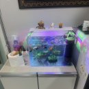 바디건강 | 평택마사지 잘하는곳 건강스킨앤바디 후기