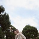 원터5길 8 | w3. 인물중심 그리너리 스튜디오 비교, 추천 | 소피소 A타입 계약 후기