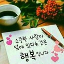 여주-0736 티스토리