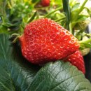 기구필라테스더존 이미지