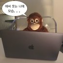 새검정 | 합정 작업카페 새검정 - 노트북 하기 좋은 합정 넓은 카페 추천