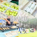 71 | 부여 10월 가볼만한곳 제 71회 백제문화제 방문후기