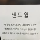 샌드윕(SANDWIP)