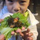 제주도흑돼지 이미지