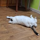 대리로+구영로 이미지