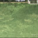 어의곡낚시터 이미지