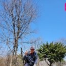 안흥종합자동차 | 正脈] 07구간 [칠장사~칠장산~3정맥분기점~스레티고개~마이산(인증)~쌍봉초교] 등산 후기(2022. 04. 03.)