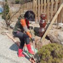 상록수펜션 이미지