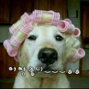 헐 이미지