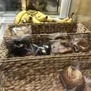 레프트뱅크 범어점 이미지