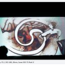 길천2(원자력) 이미지