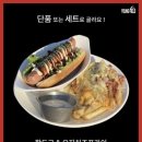 김제강아지 이미지