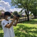 시윌라이