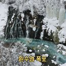 삿포로 비에이투어 후기 흰수염폭포 탁신관