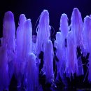 (주)평안에너지 이미지