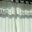 일러스라인 이미지