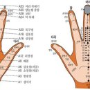 수지침 이미지