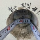 대선초등학교 이미지
