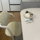 한국도로공사 하이맘어린이집 | 내돈내산 싸이벡스 레모 하이체어 1년 사용 후기