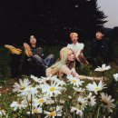 더 발룬티어스 카카오 검색결과