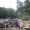 오도산자연휴양림 이미지